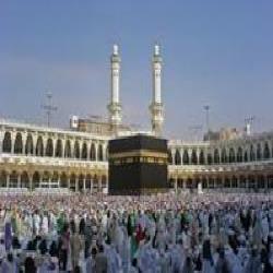 إجراءات لمواجهة أنفلونزا الخنازير قبيل موسم الحج